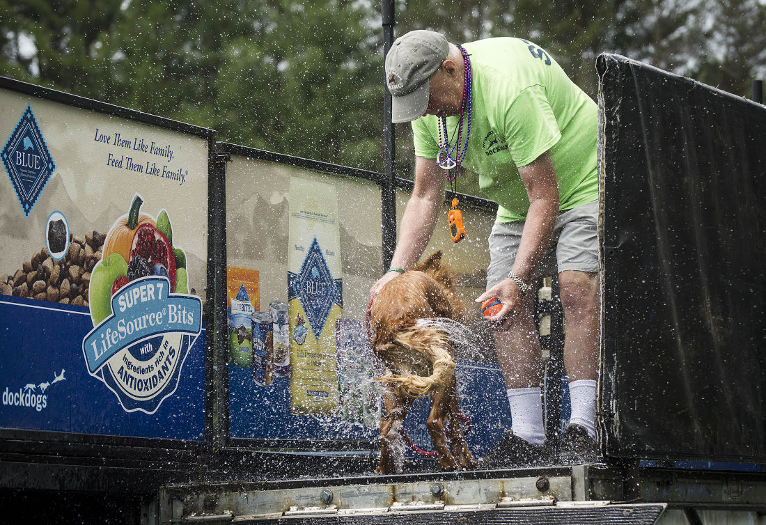 062215-nws-woofstock17.jpg